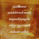 Bath & Body Works In The Stars Body Wash 295ml - Image 2
