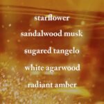 Bath and Body Works In The Stars Daily Nourishing Body Lotion 236ml - Image 2