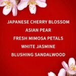 Bath and Body Works Japanese Cherry Blossom Body Lotion 236ml - Image 3