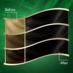Wella Koleston Black 2/0 With Coconut Oil 110g - Image 3